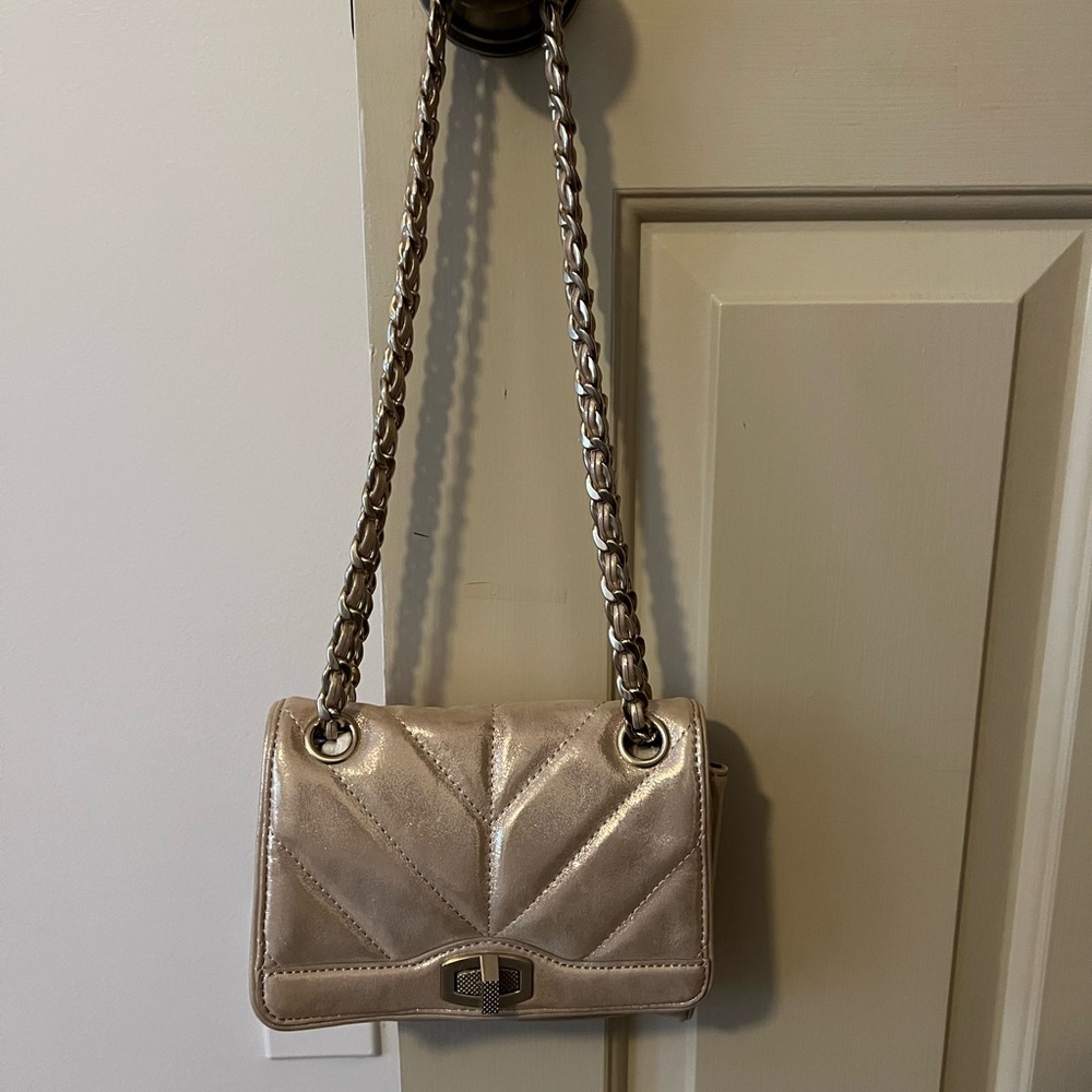 Ann Taylor evening bag